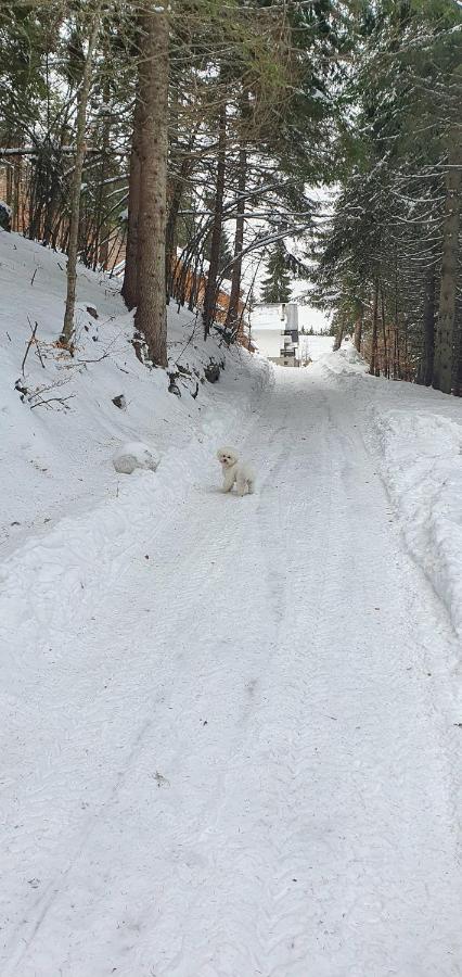 Vila Leni Kopaonik Dış mekan fotoğraf