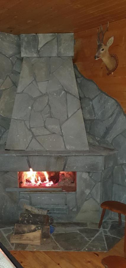 Vila Leni Kopaonik Dış mekan fotoğraf