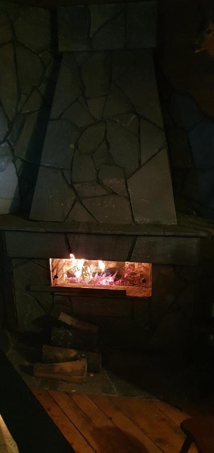 Vila Leni Kopaonik Dış mekan fotoğraf