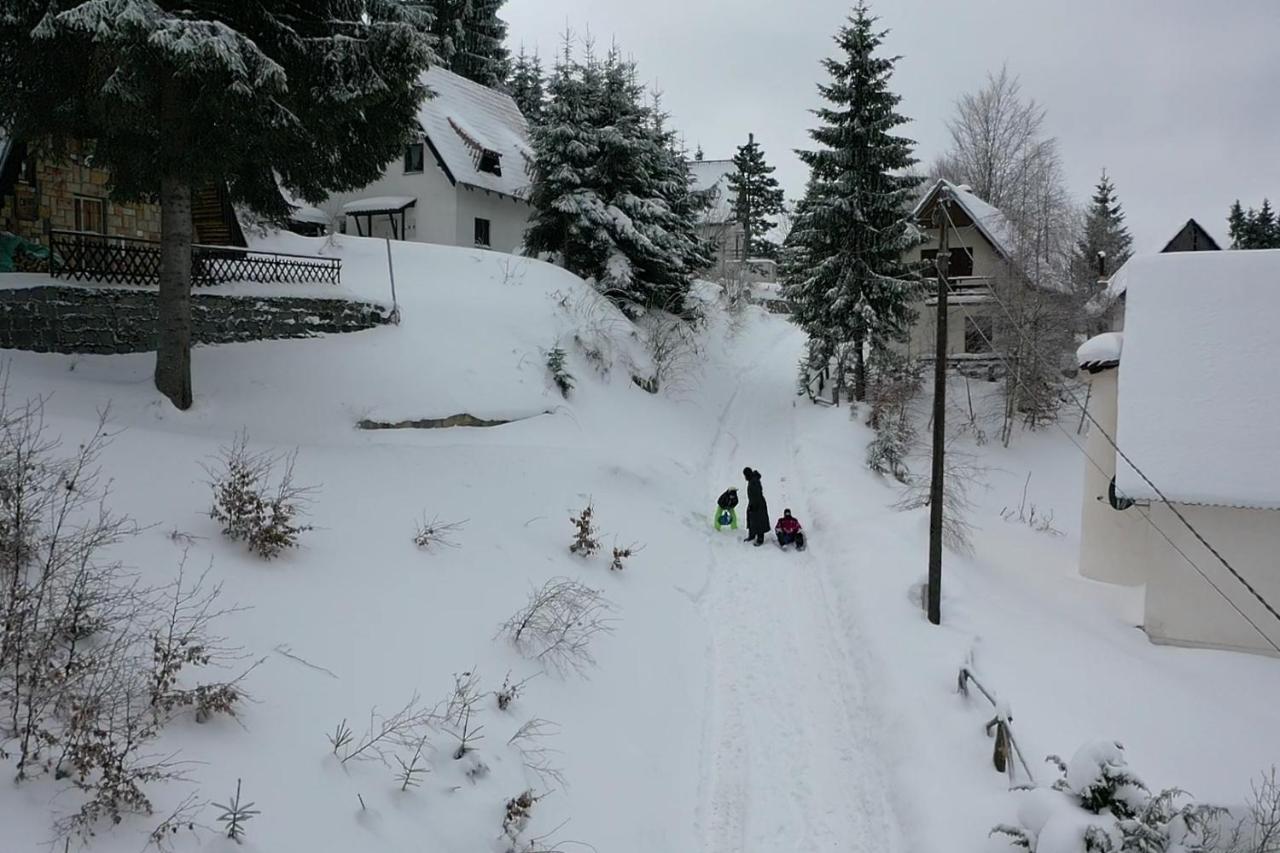Vila Leni Kopaonik Dış mekan fotoğraf